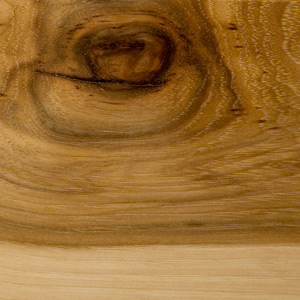Image showing texture of Hickory wood used to construct McGrath Woodworks taxidermy pedestals, mounts, and other products
